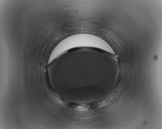 X0000097990232200804071200