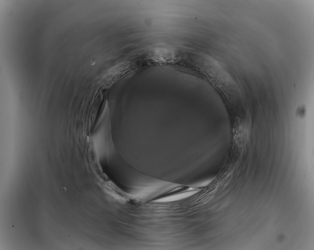 X0000097990233200804071200