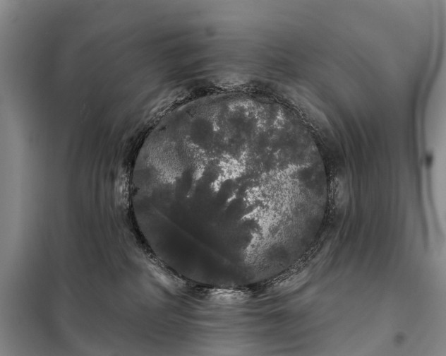 X0000097990234200804071200
