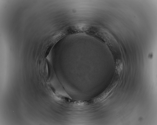 X0000097990235200804071200