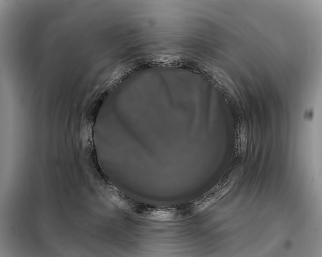 X0000097990236200804071200