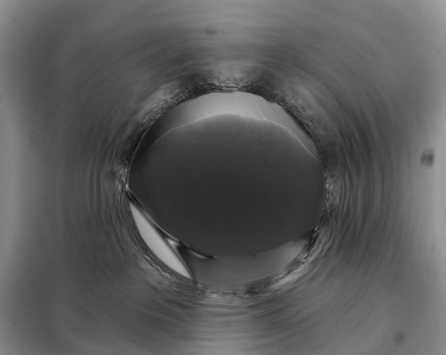 X0000097990237200804071200