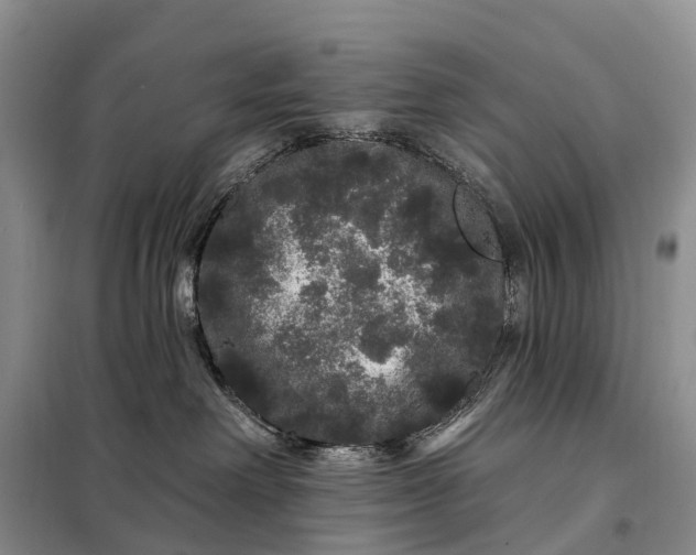 X0000097990238200804071200