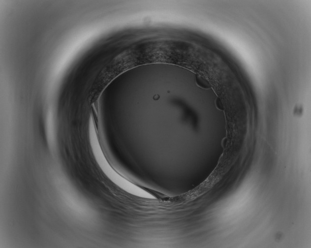 X0000097990239200804071200