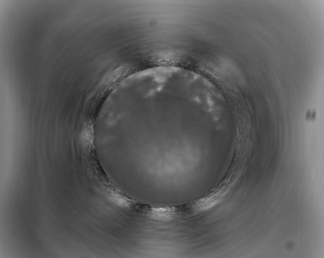 X0000097990240200804071200