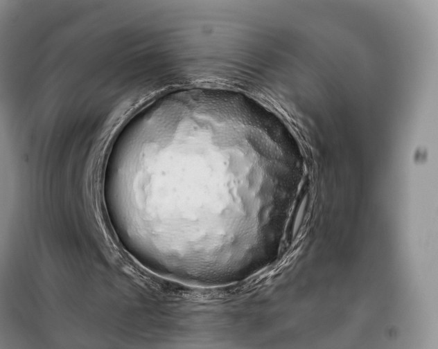 X0000097990241200804071159