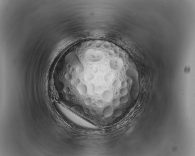 X0000097990242200804071159