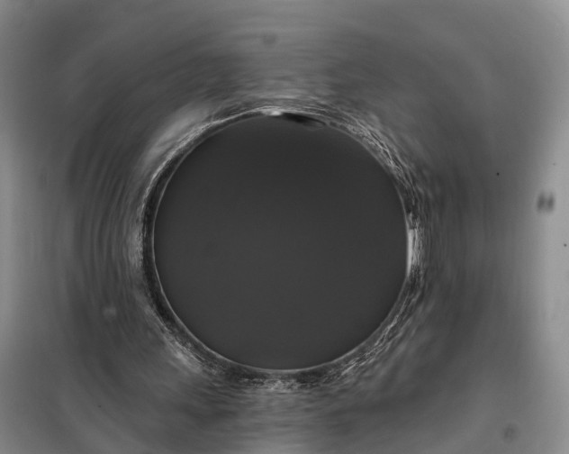 X0000097990243200804071159