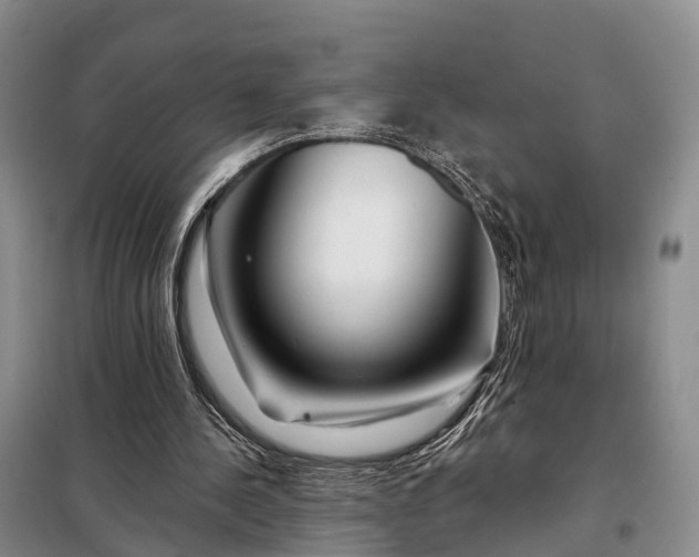 X0000097990244200804071159