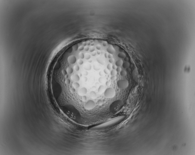 X0000097990246200804071159