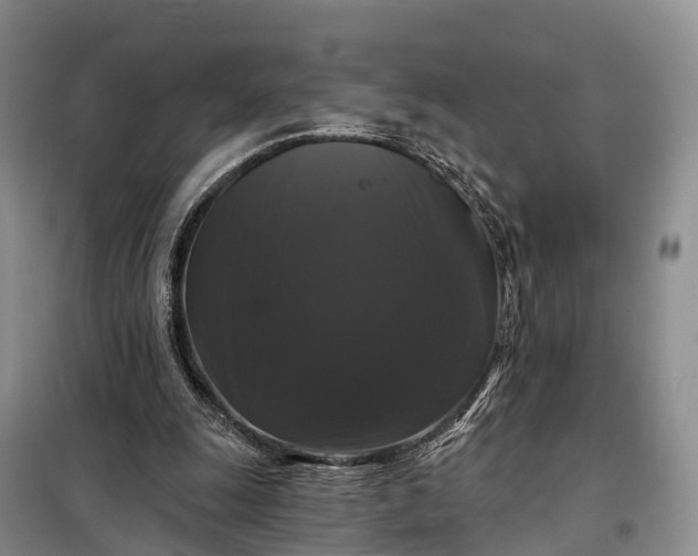 X0000097990247200804071159