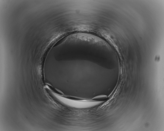 X0000097990249200804071159
