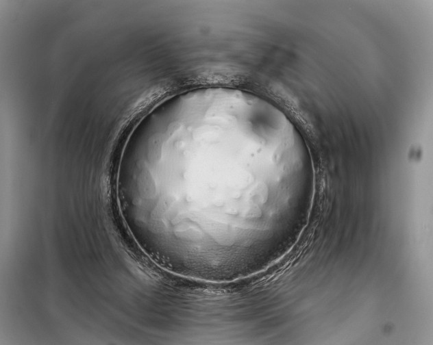 X0000097990250200804071159