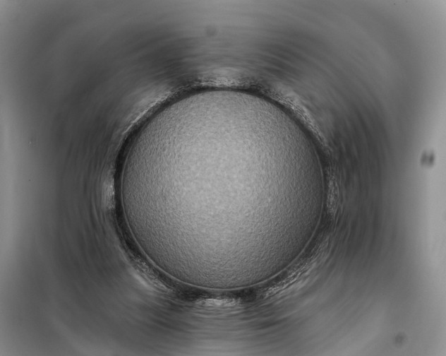 X0000097990251200804071159