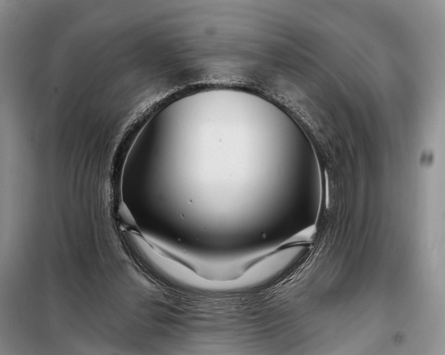 X0000097990252200804071159