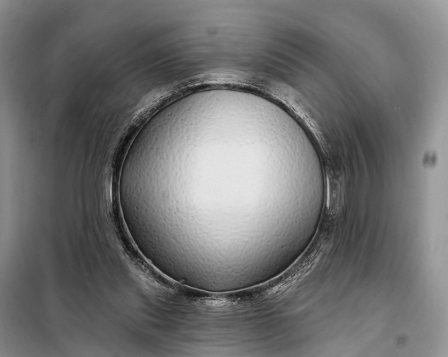 X0000097990253200804071159