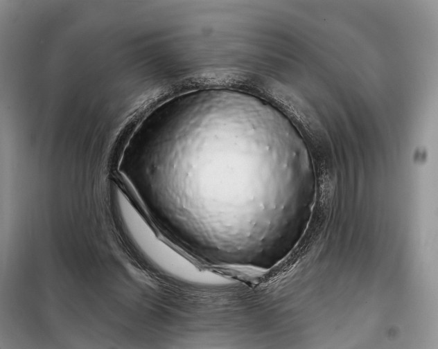 X0000097990254200804071159