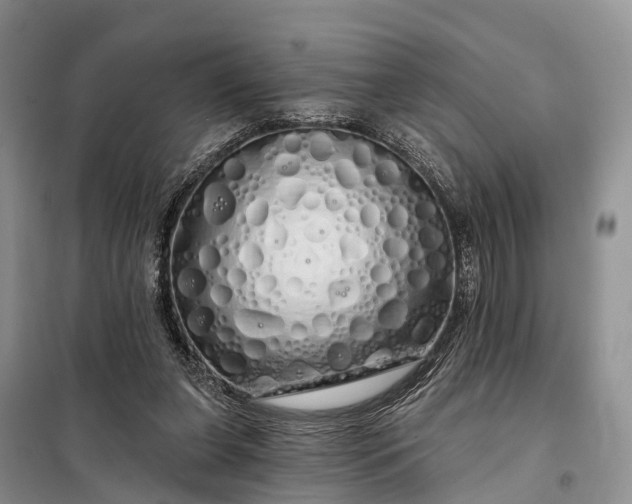 X0000097990255200804071159