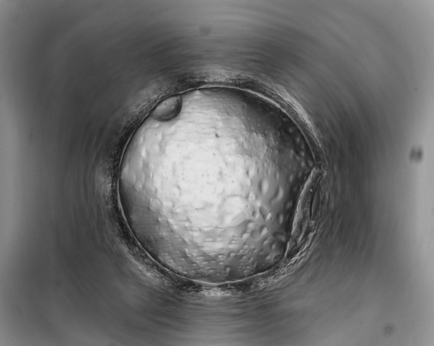 X0000097990257200804071159