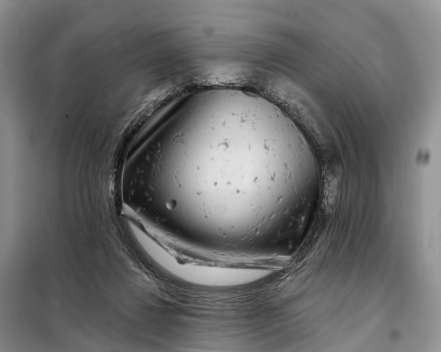 X0000097990260200804071159