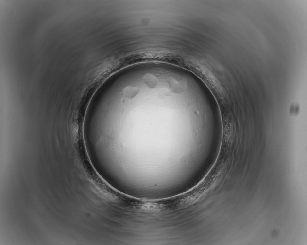 X0000097990261200804071159