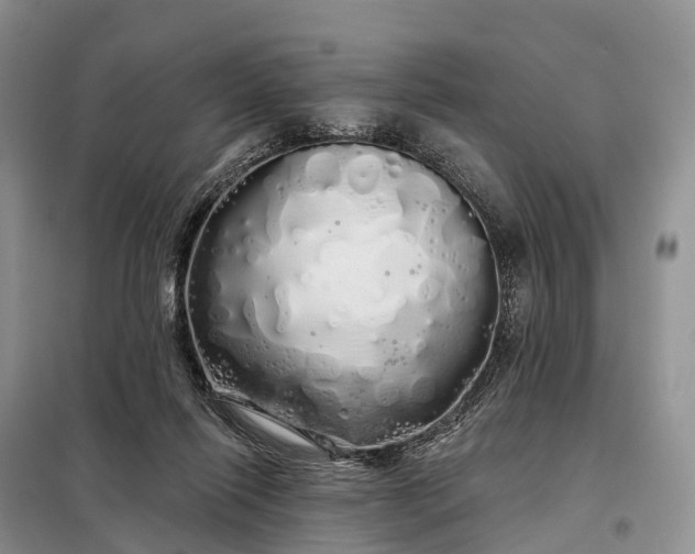 X0000097990262200804071159