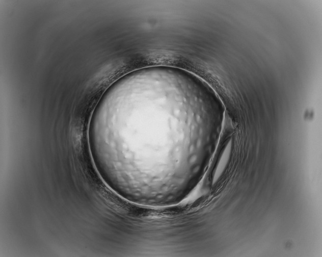 X0000097990263200804071159
