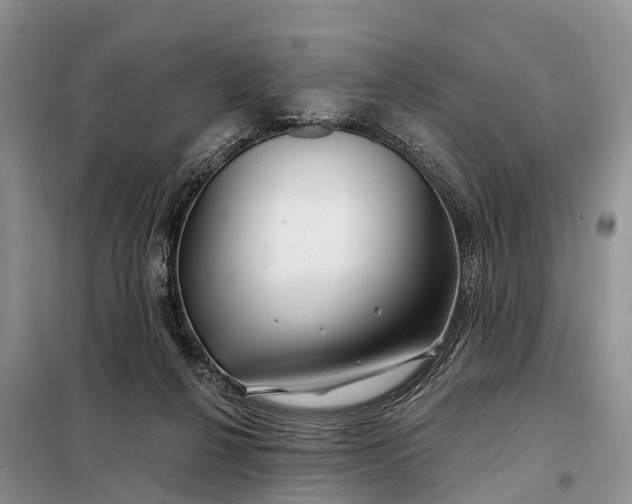 X0000097990264200804071159