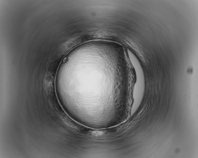 X0000097990265200804071159