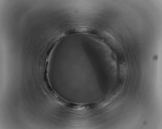 X0000097990267200804071159