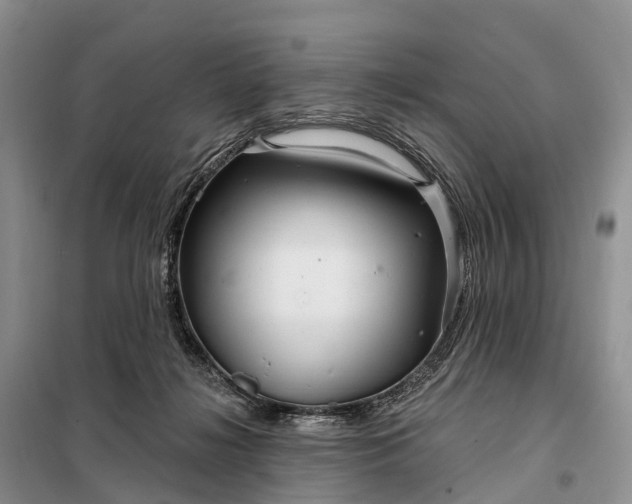 X0000097990268200804071200