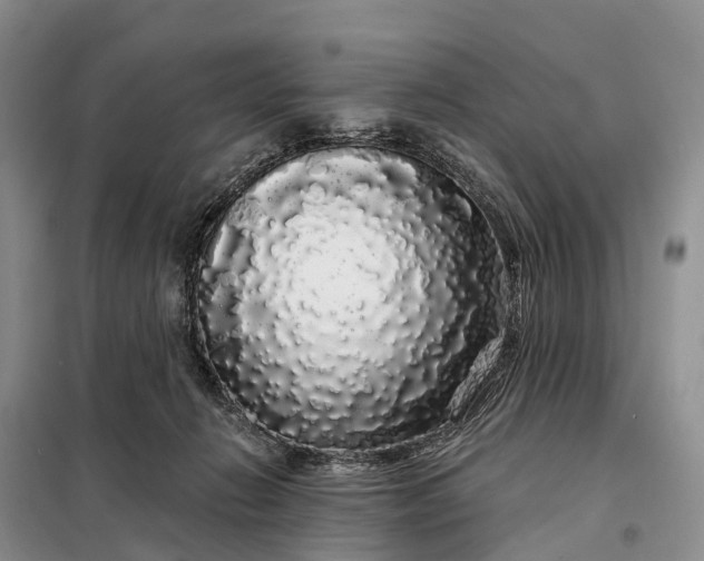 X0000097990270200804071200