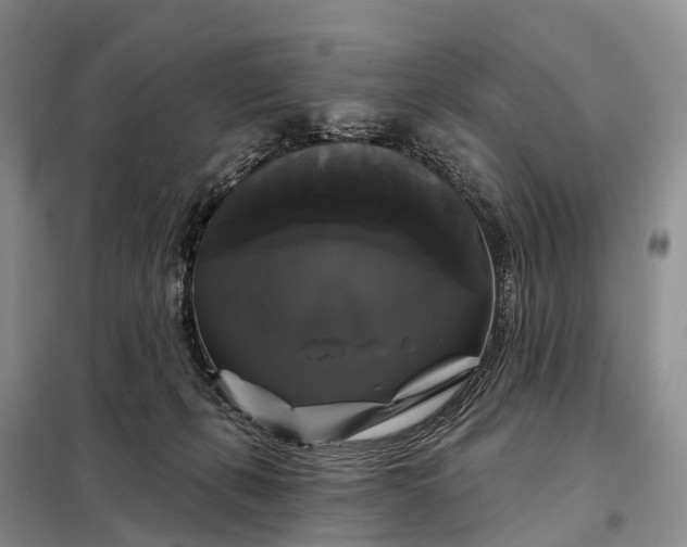 X0000097990271200804071200