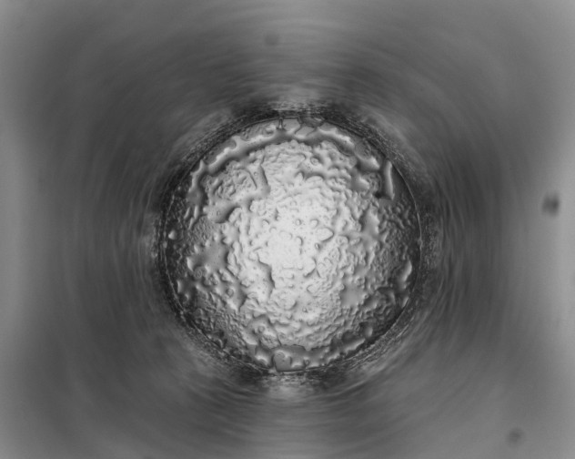 X0000097990273200804071200