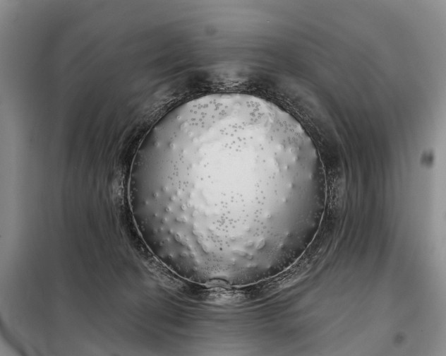 X0000097990274200804071200