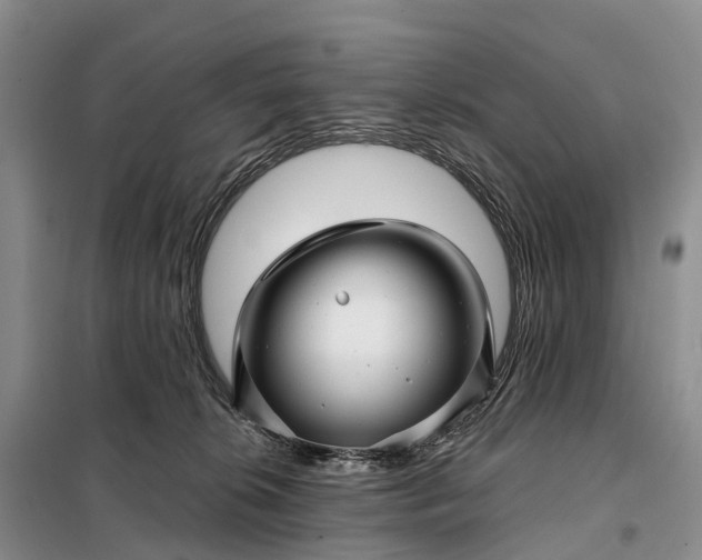 X0000097990276200804071200