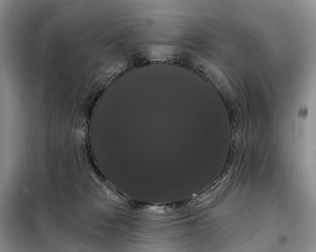 X0000097990277200804071200