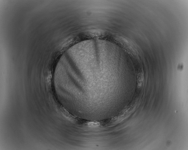 X0000097990279200804071200