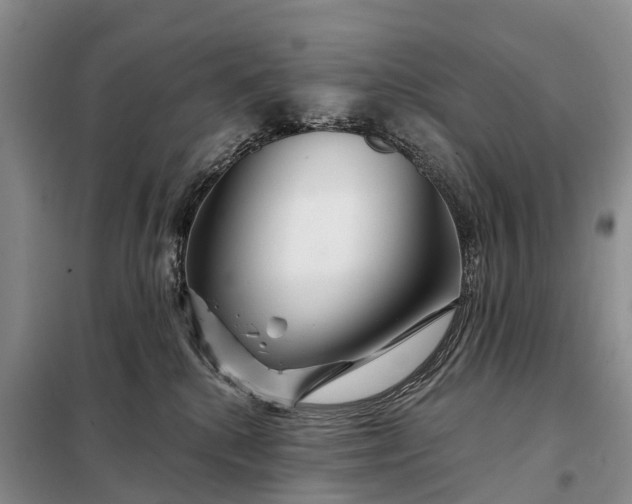 X0000097990280200804071200