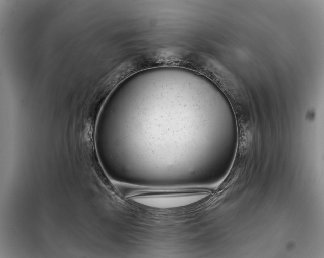 X0000097990281200804071200