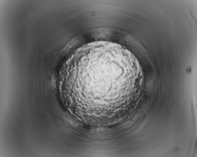 X0000097990282200804071200