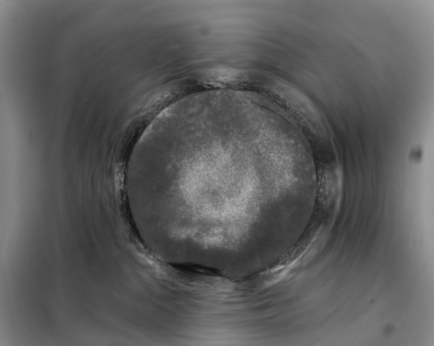 X0000097990284200804071200