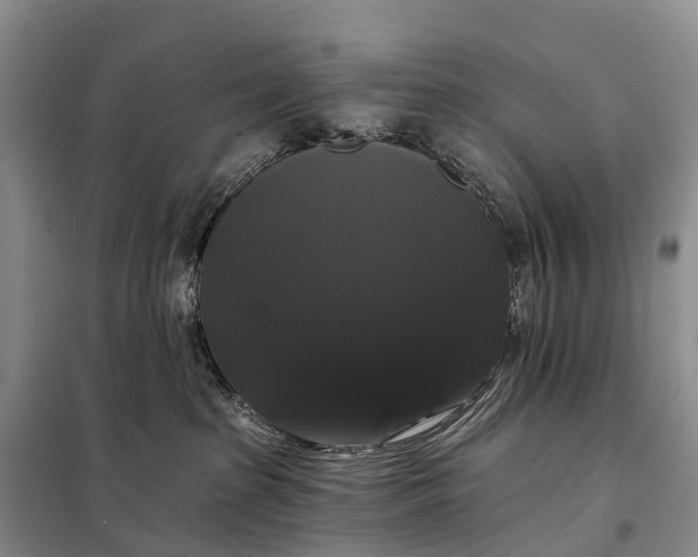 X0000097990285200804071200
