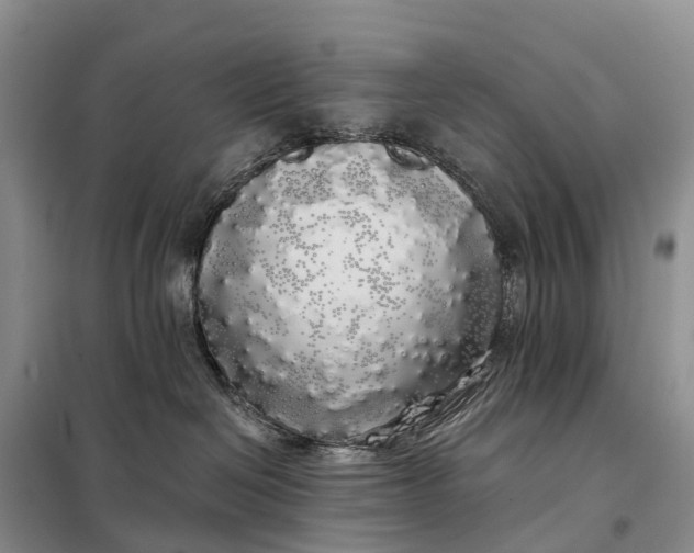X0000097990286200804071200
