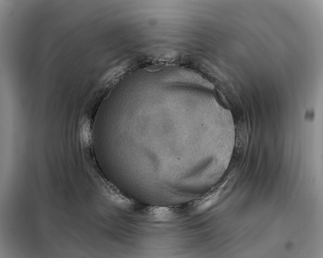 X0000097990287200804071200