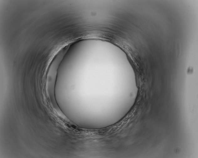 X0000097990289200804071159