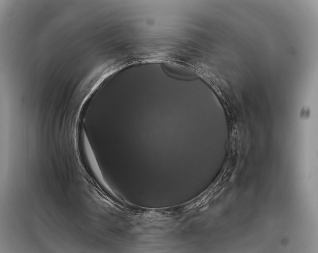 X0000097990290200804071159