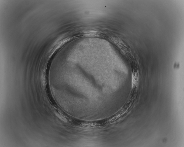 X0000097990291200804071159