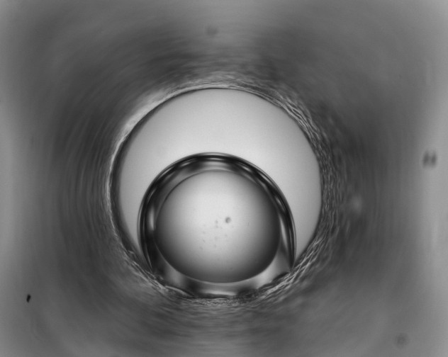 X0000097990292200804071159