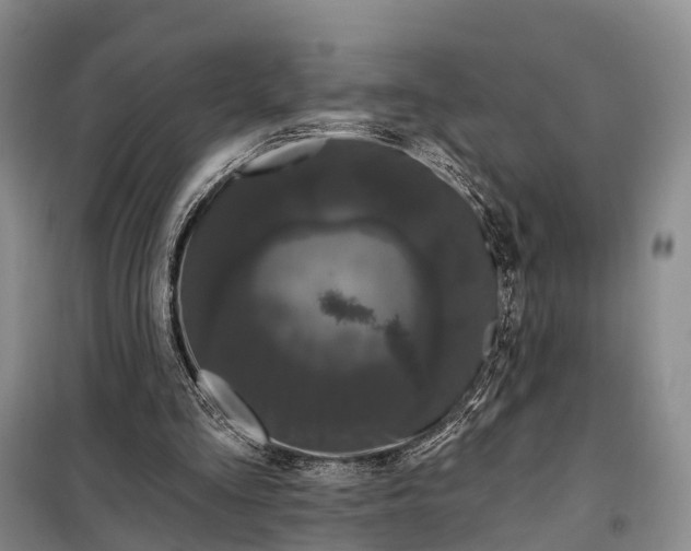 X0000097990293200804071159